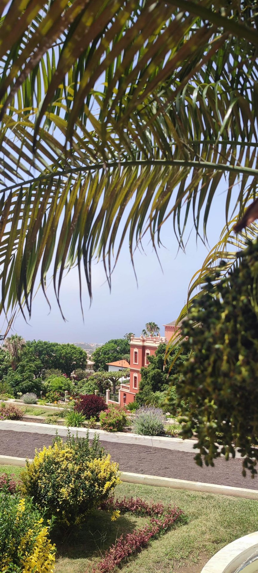 Liceo de Taoro enmarcado por vegetación tropical