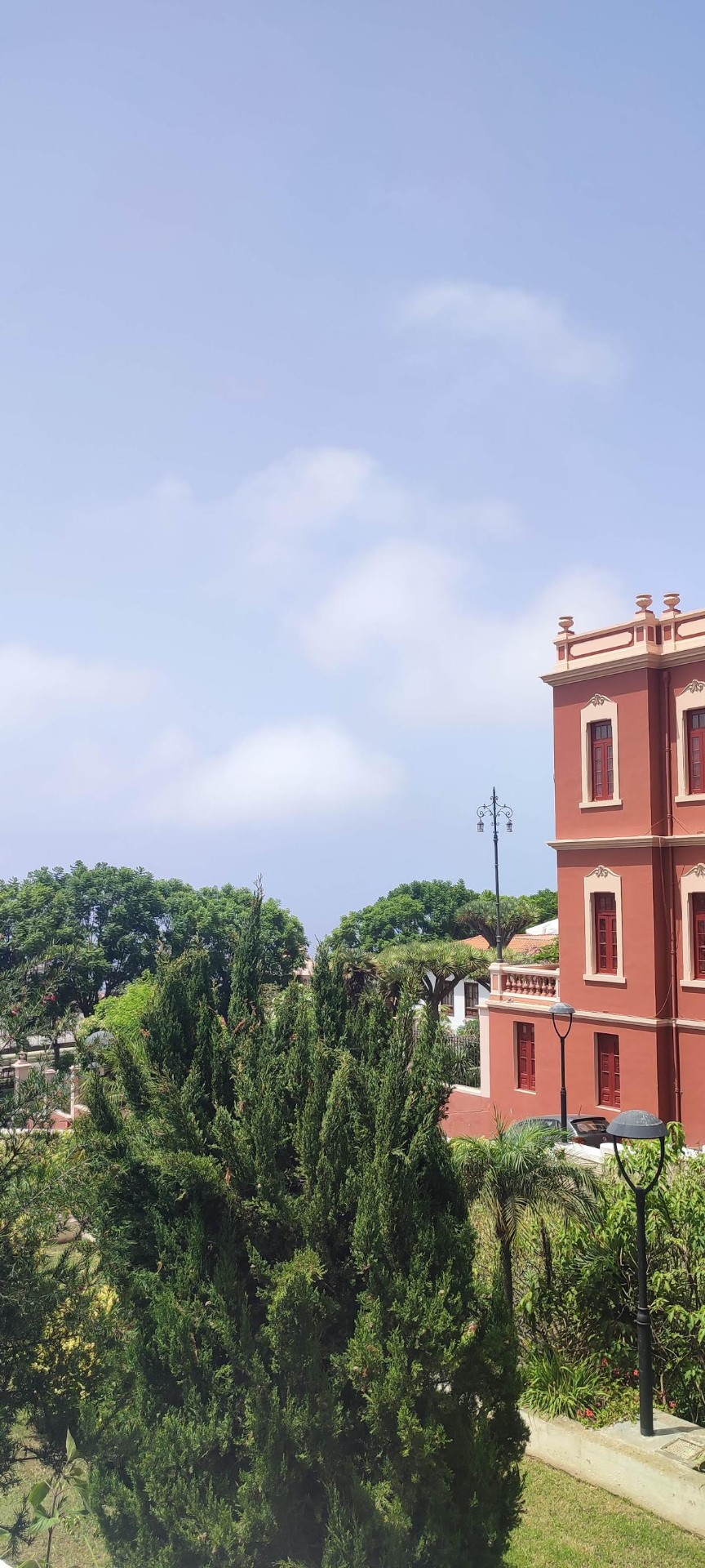 Liceo de Taoro y dragos bajo un cielo azul