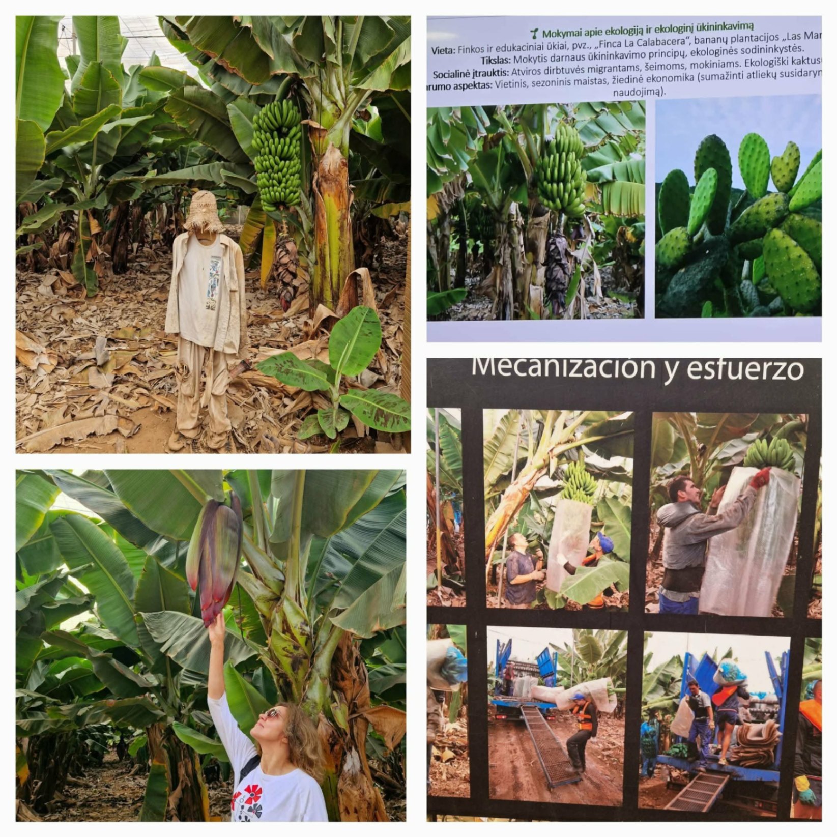 Ecological farming field visit